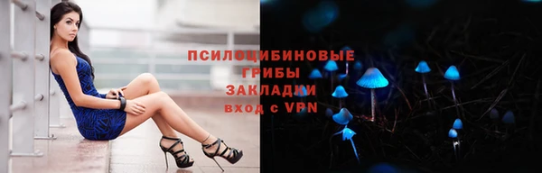 ешки Алзамай