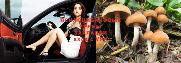 ешки Аркадак
