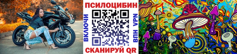 Псилоцибиновые грибы Psilocybe  где найти наркотики  Нягань 